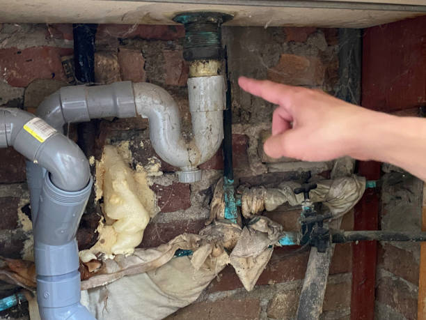 Best Mold removal after water damage  in Pigeon Forge, TN