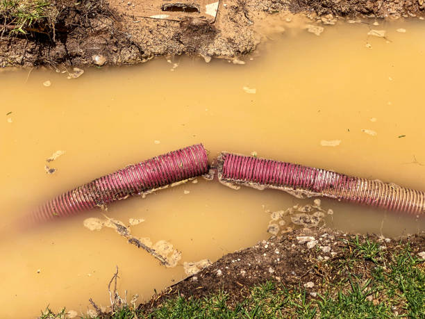 Best Sewage cleanup and water damage restoration  in Pigeon Forge, TN