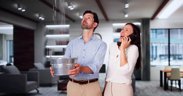 Best Water damage restoration specialists  in Pigeon Forge, TN